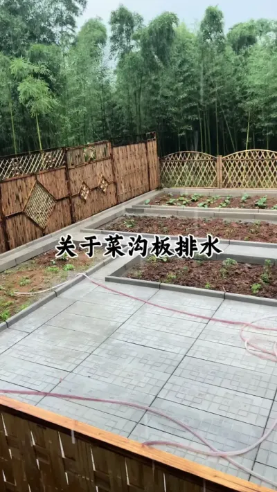 菜园排水#农村小院 #我的农村生活