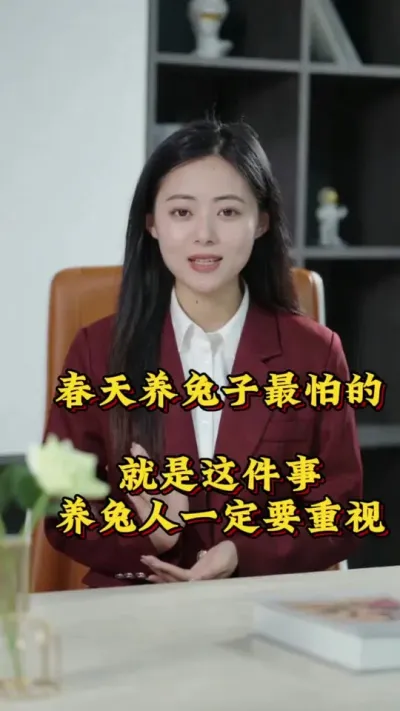 春天养兔子最怕的就是这件事，养兔人一定要知道#养兔人 #养兔子注意事项 #肉兔养殖 #兔子 #科学养兔