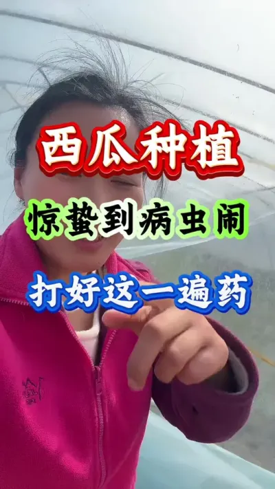 西瓜种植 惊蛰到病虫闹打好这一遍药#西瓜种植#西瓜管理西瓜高产#种西瓜#病害防治