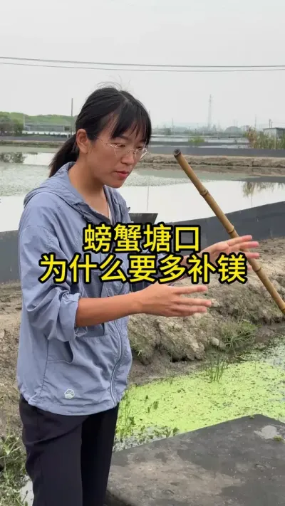 螃蟹塘口为什么要多补镁！！！ #渔多多养殖模式 #三农 #螃蟹养殖 #大闸蟹养殖 #水产养殖技术