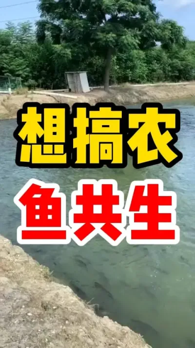 想搞农鱼共生 #养鱼 #水产养殖 #养殖 #鱼塘