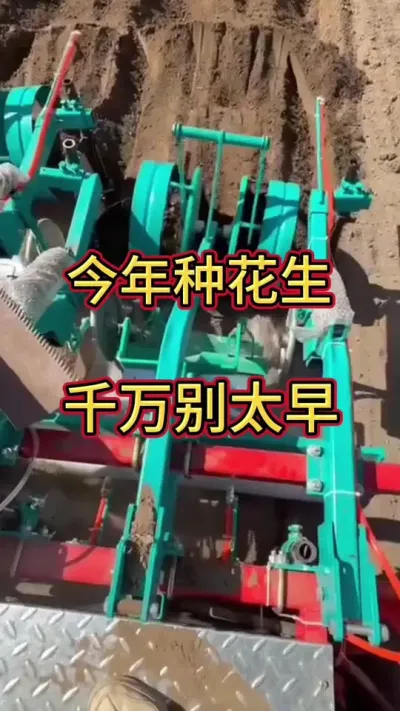 今年种花生，千万别太早#花生 #种植花生 #三农 #一份耕耘一份收获 @抖音小助手