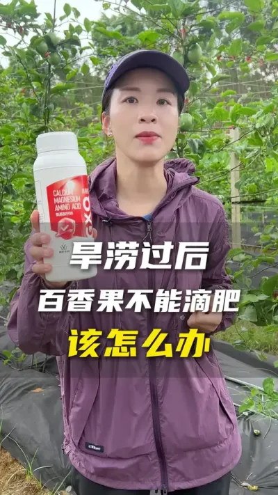 天气异常，湿度过大滴不了肥该怎么办？#百香果#百香果种植技术#农业种植#抖音助农#三农