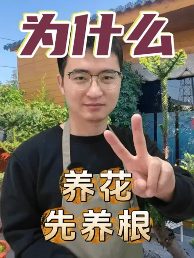 为什么说&ldquo;养花先养根&rdquo;？ #养花  #花卉绿植  #养根