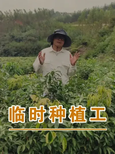 你知道现在的老百姓难到什么程度吗？#广西灵山荔枝果苗#农业创业#抖音新农人计划2024#吕老师种果苗