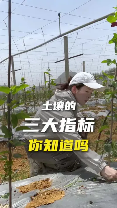 种植百香果（农作物）这三个指标你要懂！会省心很多！#百香果#农业种植#抖音助农#三农#百香果种植技术
