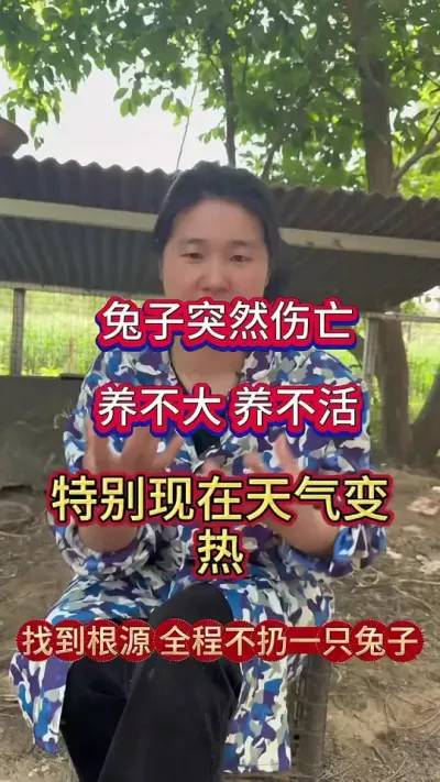 养兔得保护伞，远离兔丙兔瘟，规模化养兔得秘诀#兔子 #养兔人 #养兔 #肉兔养殖 #养兔技术
