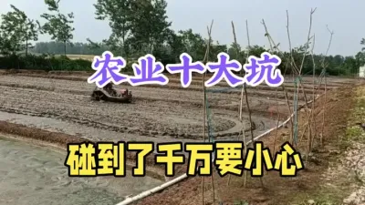 农业骗人项目大揭秘，这十个坑人的农业项目要远离，建议收藏 #助力三农 #分享农业知识帮农民增产增收 #农业骗局揭秘 #支持三农扶持三农发展