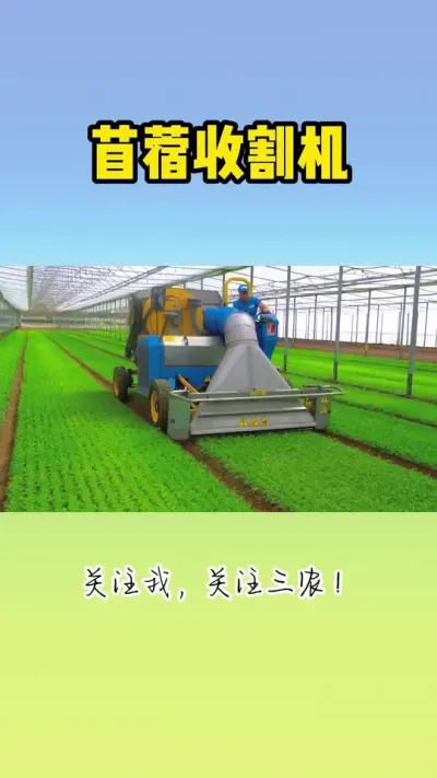 苜蓿收割机 #苜蓿收割机 #苜蓿种植 #现代农业机械