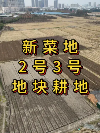 新菜地改造第12集，翻地准备造大棚 #农业种植 #三农 #种菜 #种植
