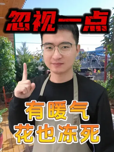 不注意这个小细节，有暖气花也冻死！ #养花 #冬天养花 #养花小技巧