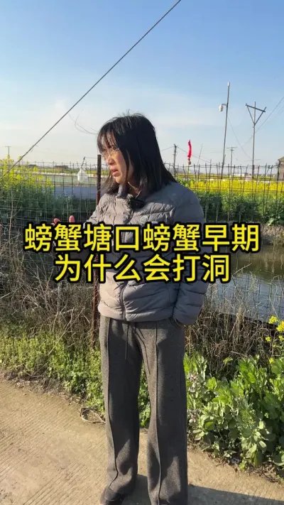 螃蟹早期为什么会打洞！！！！ #渔多多养殖模式 #水产养殖 #大闸蟹养殖 #三农 #河蟹养殖