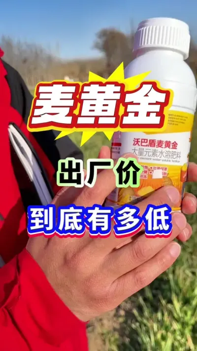 麦黄金源头工厂，价格实惠效果好！#小麦高产 #小麦种植管理技术 #麦黄金 #源头工厂 #小麦叶面肥