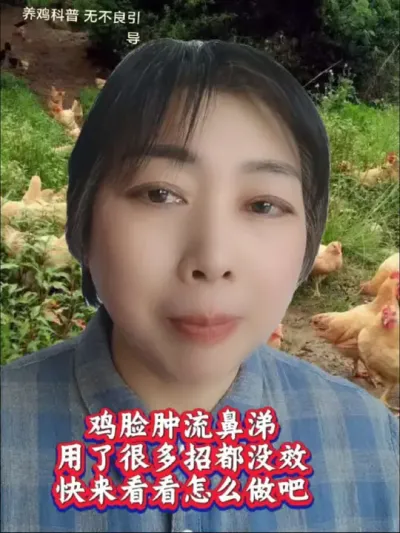 鸡脸种流鼻子，用了很多方法不管用的看过来#鸡鸭鹅养殖 #养鸡技术 #养鸡知识 #鸡病防治 #科学养鸡