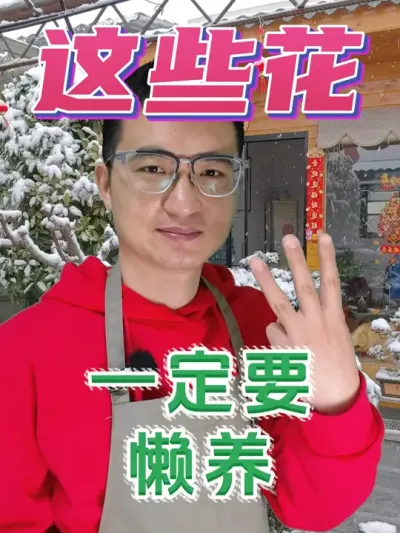 养这些花一定管好手，越勤快死的越快！ #养花  #花卉绿植  #养花小知识