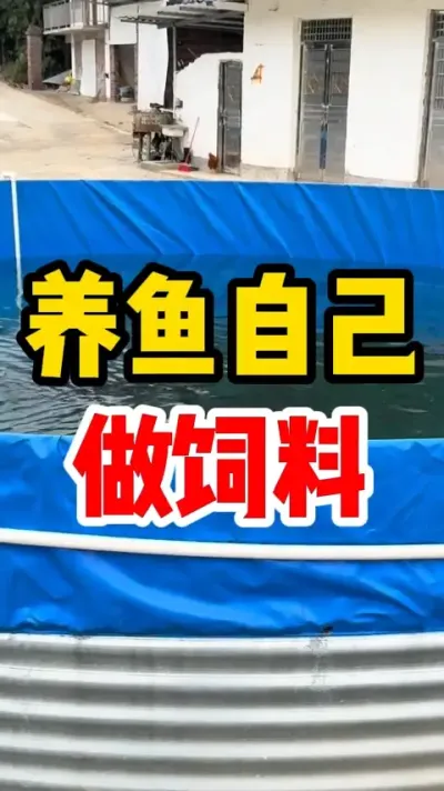 养鱼自己做饲料 #水产养殖 #养鱼日记 #养鱼人 #养鱼 #养鱼经验分享