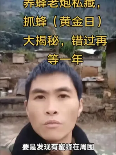 #内容启发搜索 #谌蜜#诱蜂 #养蜂技术分享 ，养蜂老炮私藏，抓蜂：（黄金日）大揭秘，错过再等一年。@抖音小助手 @DOU+小助手