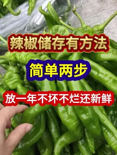 辣椒储存有方法简单两步放一年不坏不烂还新鲜 #辣椒储存方法 #辣椒种植 #农业种植 #三农 #分享农业知识帮农民增产增收