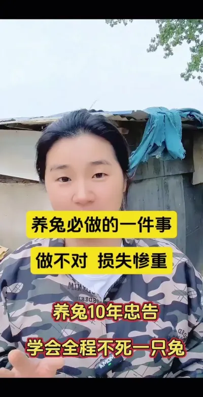 养兔必做一件事，做错损失惨重，养兔10年忠告#兔子 #养兔 #兔子养殖 #养兔人 #肉兔养殖