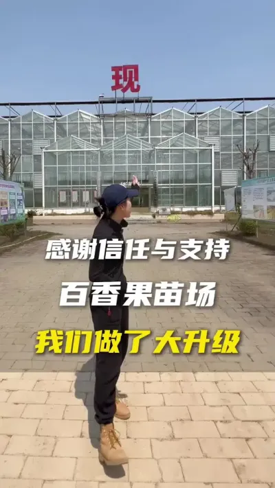 不管是种植还是育苗，我们都需要不断复盘，不断地改进，只为更好地服务客户朋友们！#百香果#百香果种植#三农