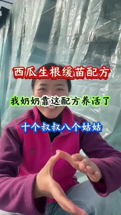 西瓜种植 西瓜生根缓苗配方我奶奶靠这配方养活了十个叔叔八个姑姑#西瓜种植#西瓜管理#西瓜生根