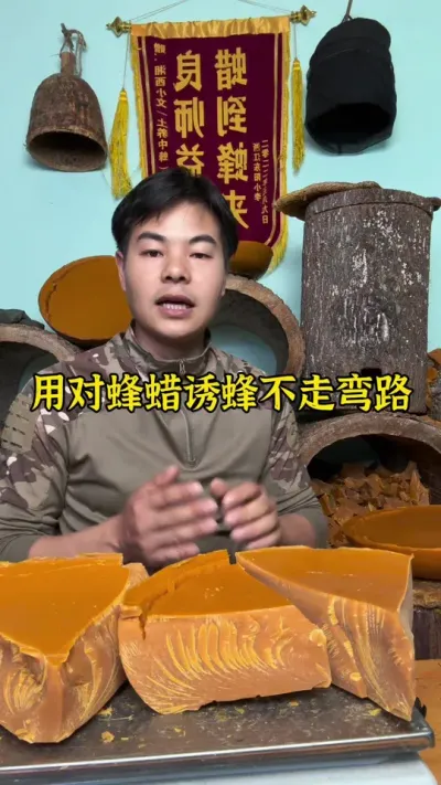 春季大分蜂正在进行，用对蜂蜡在诱蜂的道路上不走弯路#诱蜂 #养蜂 #养蜂技术 #蜂蜡 @抖音小助手