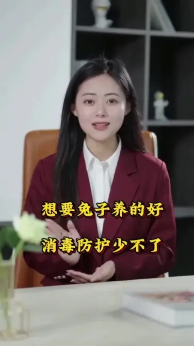 要想兔子养的好，消毒防护少不了#养兔人 #兔子 #肉兔养殖 #养兔技术 #养兔子注意事项