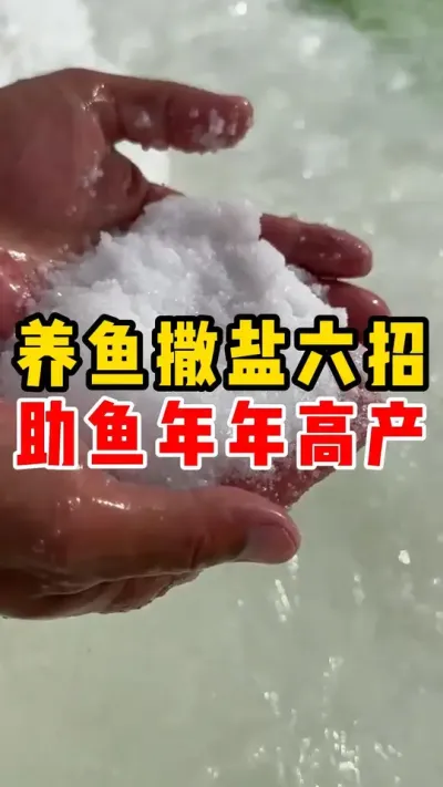 养鱼撒盐六招助鱼年年高产##养鱼日记 #水产养殖 #高密度养殖 #养鱼#养鱼技巧 @抖加🔥上热门🔥dou+🔥热点宝  @DOU+小助手 
