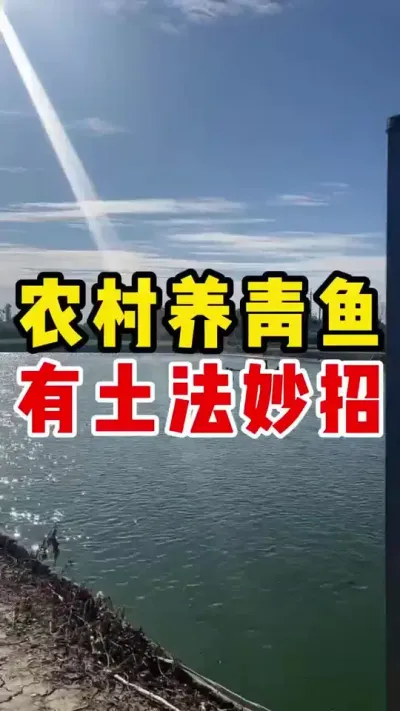 农村养青鱼有土法妙招#水产养殖 #养鱼日记 #高密度养殖 #青鱼 #三农 @抖加🔥上热门🔥dou+🔥热点宝