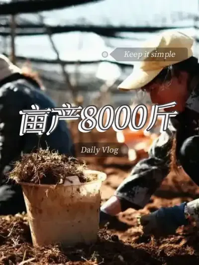 1亩六个月收入8万元，1公斤最高90元，南北都可以种植，收藏 #农业种植致富项目 #抖音助农 #三农 #农村创业 #药材种植