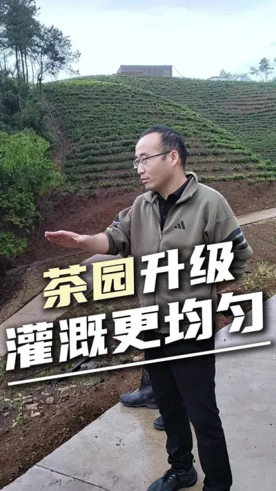 旧滴灌因山地落差大，出水不均匀？升级全自动水肥智能设计，精准灌溉，省水省力，茶叶长势更均匀#全自动水肥一体化#茶园水肥设计#设施助农