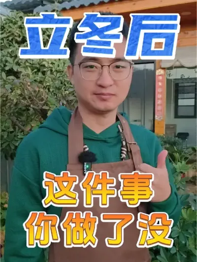 立冬后家里的花一定要做这件事! #养花 #冬肥 #羊粪有机肥