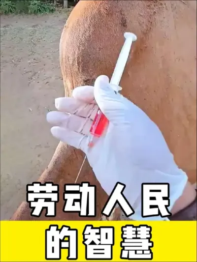 #劳动人民的智慧 #三农 #生活小妙招 #劳动人民最光荣 #高手在民间