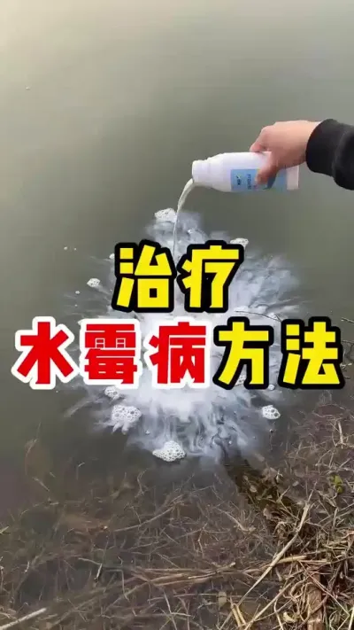 治疗水霉病的土方法 #水产养殖 #养鱼日记 #养鱼 #三农 #水霉病 @抖加🔥上热门🔥dou+🔥热点宝
