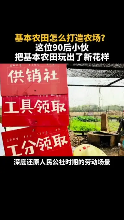 基本农田怎么打造农场？来看看这位90后小伙的玩法 #农场 #三农 #乡村振兴 #农村 #农庄