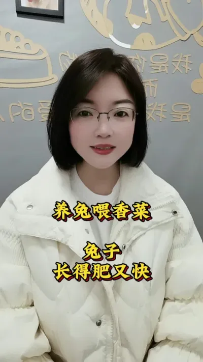 养兔喂香菜，兔子长得肥又快#兔子 #养兔人 #养兔技术 #肉兔养殖 #养兔子注意事项