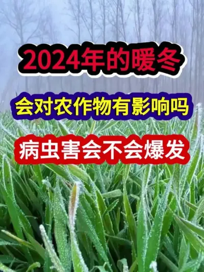 2024年的暖冬会对农作物有什么影响病虫害会不会爆发 #农业种植 #三农种植 #传播农业小知识 #种植小技巧 #分享农业知识帮农民增产增收