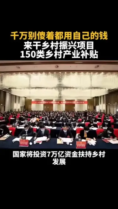 千万别傻着用自己的钱来干乡村振兴项目150类乡村产业补贴 #乡村振兴 #乡村扶持 #休闲农业 #家庭农场