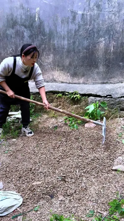 营养土不用买，在家就能自己做#营养土 #种植小技巧 #花卉绿植