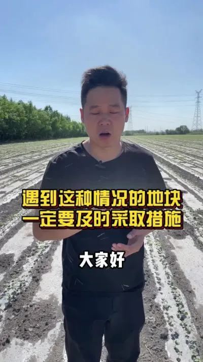 遇到这种情况的地块一定要及时采取措施！ #棉花种植专家讲座 #棉花种植技术 #关注我每天分享种植知识 @抖音小助手