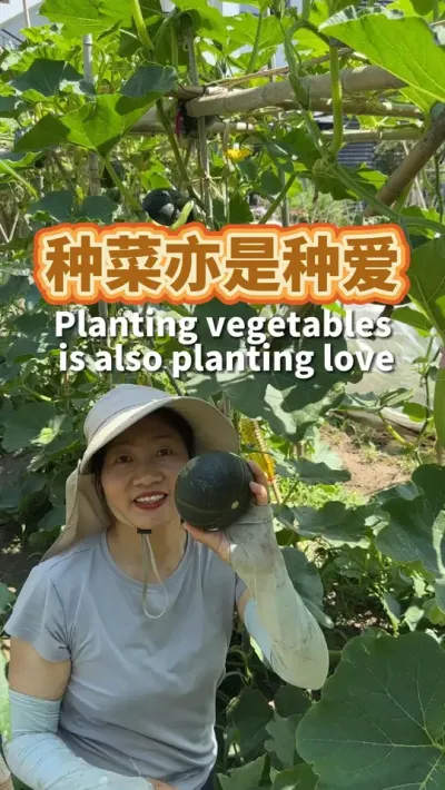 种菜亦是种爱 给生活写封情书，她会给我回信#我的小菜园 #我爱种菜 #阳台种菜 #田园生活  #愿用心耕耘的人都有收获