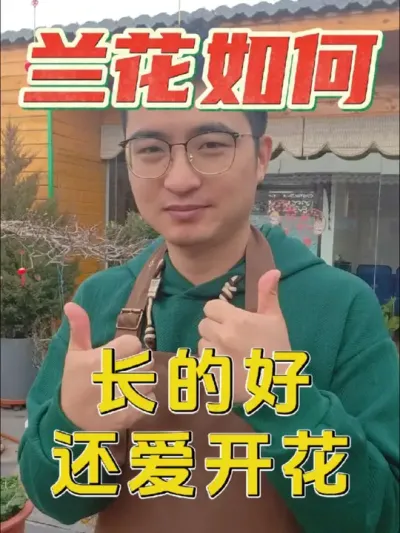 兰花怎么养，才能长得好还爱开花?#养花 #兰花 #兰灵王