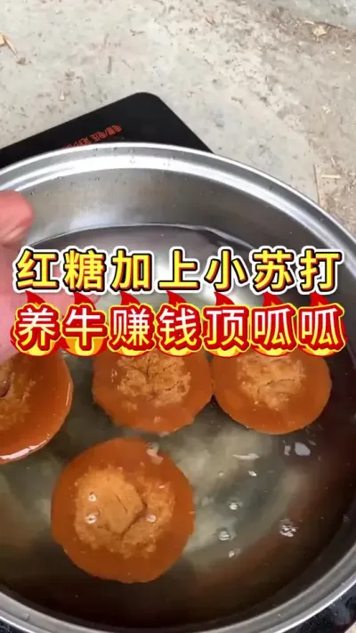 红糖加上小苏打养牛赚钱顶呱呱#养牛人#三农#养牛#养殖
