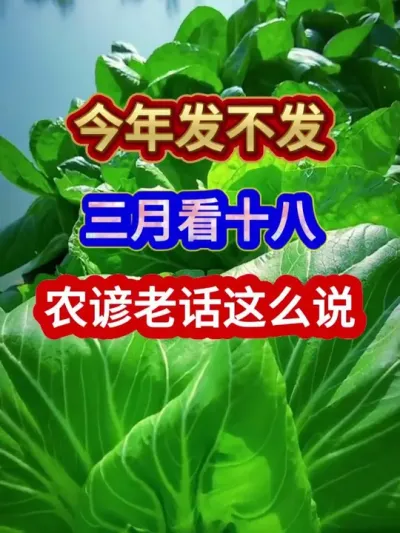 今年发不发三月看十八农谚老话这么说 #农业谚语 #农谚 #农谚老话 #农业种植 #三农