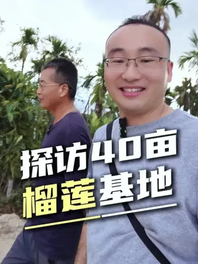 探访海南40亩榴莲基地，种植榴莲最大的问题是什么？#榴莲种植 #栽种管理 #海南榴莲 #三农