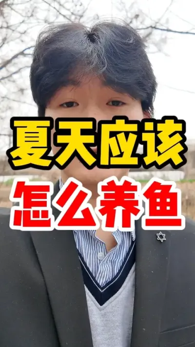夏天应该怎么养鱼 #鱼 #养鱼人 #夏天的味道