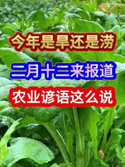 今年是旱还是涝二月十二来报道农业谚语这么说 #农业种植 #农业谚语 #谚语 #服务三农支持三农 #谚语俗语