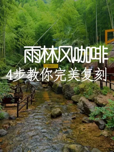 雨林风咖啡营地爆火！4步教你完美复刻 #小院改造 #小院时光 #氛围感 #网红打卡地 #天雅设计