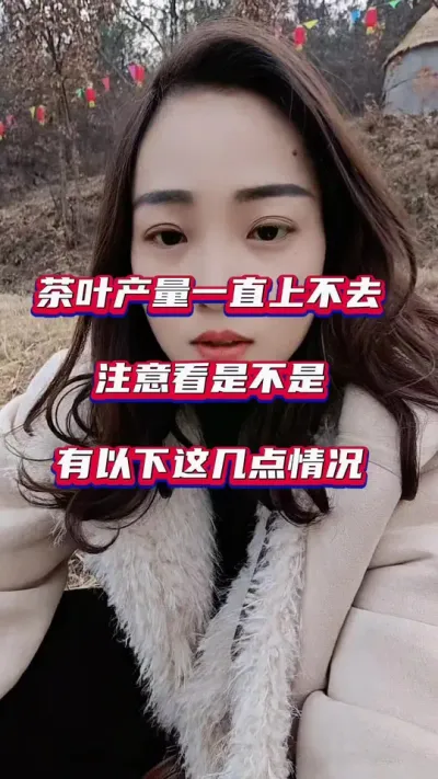 茶叶产量上不去你知道是什么原因吗#茶树种植管理技术 #茶园管理茶树要想长得好肥料少不了