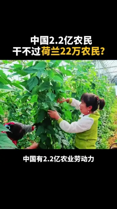 中国2.2亿农民干不过荷兰22万农民？ #农业 #乡村振兴 #农民  #土地 #乡村振兴dou行动